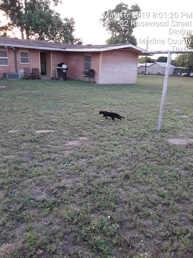 Devine Animal Control - Visual