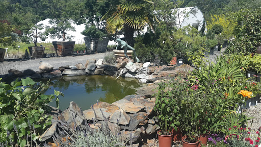 Solomon's Gardens Nursery & Landscaping - Thumbnail