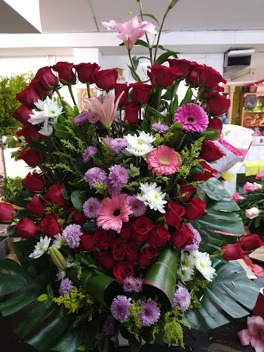Florería Arylin - Visual