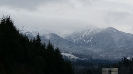 Deer Park Loop - Visual