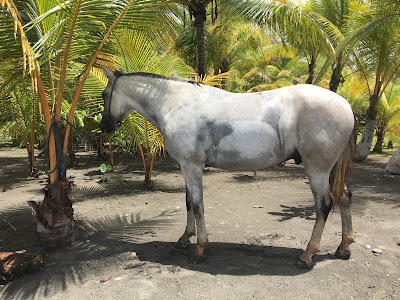 Photos of The Riding Adventure