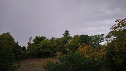 Parc de Jaunac - Thumbnail