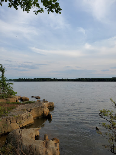 Poole Knobs Portal - Visual