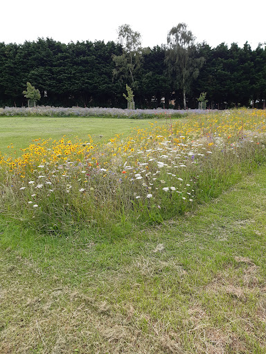 Westfield Play Park - Thumbnail