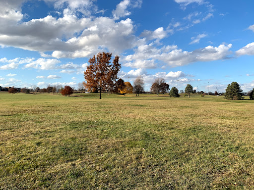 Dodds Soccer Fields - Visual