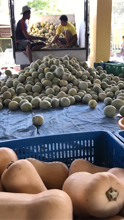 Photos of Ud. Markas Melon Medan