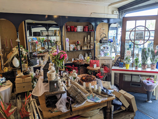 Blooms of Bideford Gallery - United Kingdom