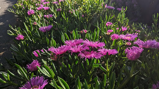 Garden of Preschool Gallery - United States