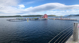 Norsk Havbrukssenter AS photo