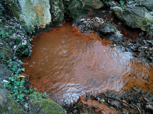 Source salée de la Tête de Lion - Thumbnail