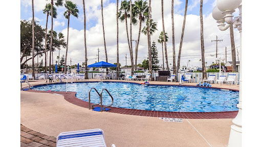 Alamo Palms