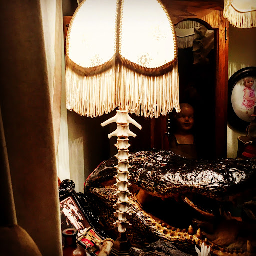 Abby Normal’s Museum of the Strange Gallery - United States