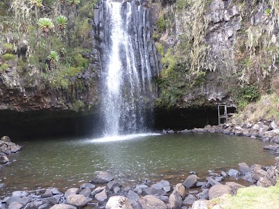 Photos of Aberdare National Park