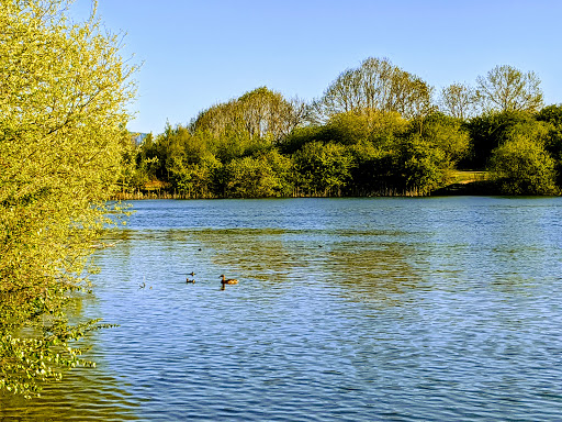 Ensors Pool - Visual