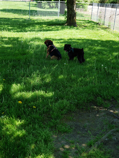 Kaufman Dog Park - Thumbnail