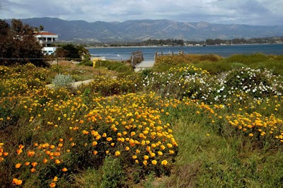 Photos of University of California, Santa Barbara