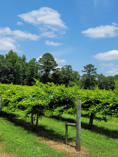 Morgan Creek Vineyards Gallery - United States