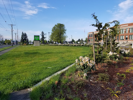 Stewart Middle School - Thumbnail
