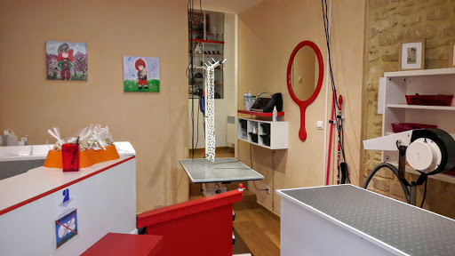 STUDIO CANIN - Thumbnail