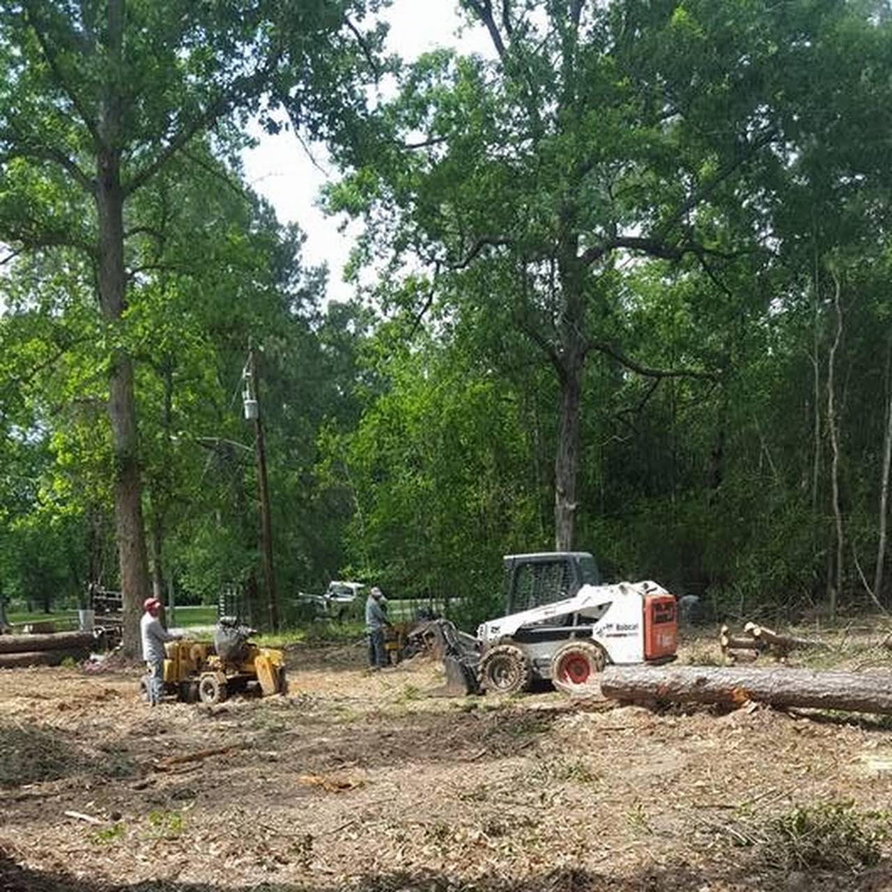 Best Choice Tree Service Tree Service