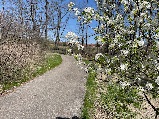 Nature Trail & Bridge - Thumbnail