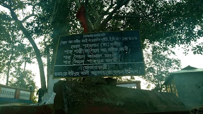 Photos of Chandi Jame Masjid