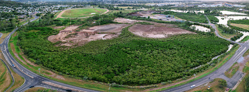 Ash Pond 7