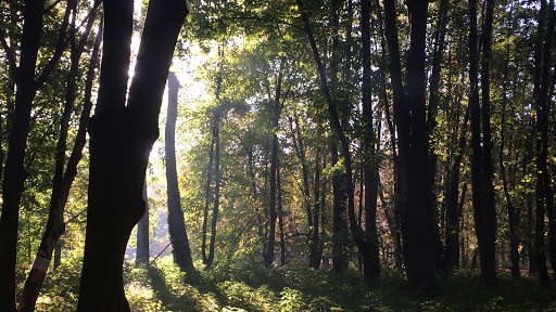 Gabinet Psychoterapii i Edukacji Psychologicznej