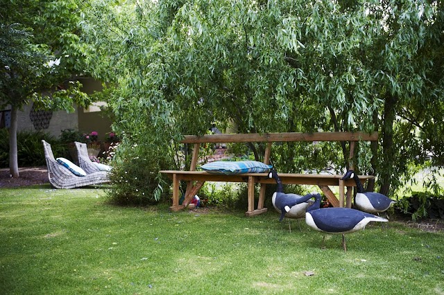 Aasvoelkrans B & B