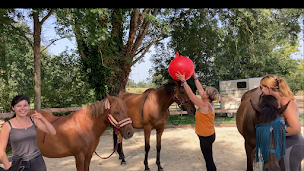 Photo n°6 de Les Écuries des Chouchous à Saint-Aubin-le-Cloud (Centre équestre)