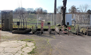 Photo n°7 de Les serres Nahia à Saint-Pée-sur-Nivelle (Magasin d'alimentation bio)