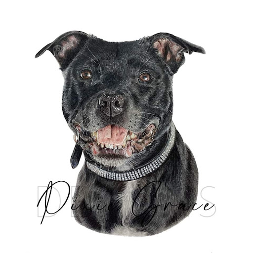 Pixie Grace Designs - Visual