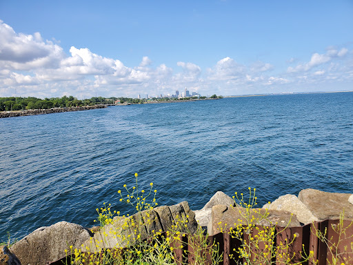 Lakefront Nature Preserve Overlook