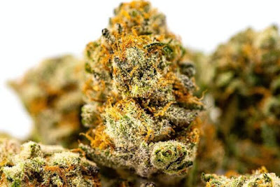 Photo of Greenlight Dispensary Springfield