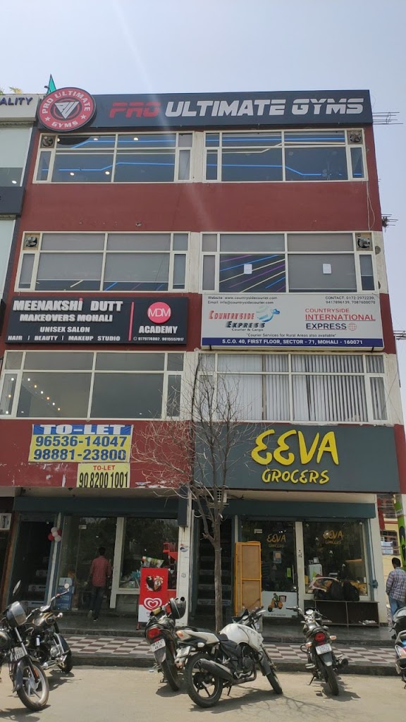 Pro Ultimate Gyms Sector 71 Mohali