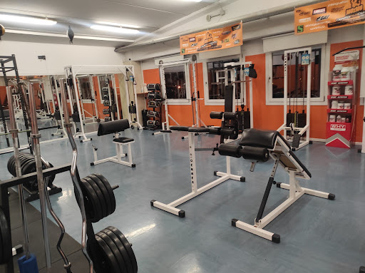 Palestra Gold Gym