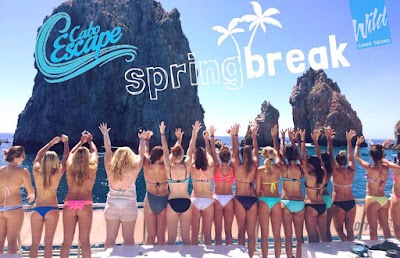Photos of Wild Cabo Tours