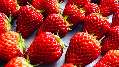 白馬農場 いちご園