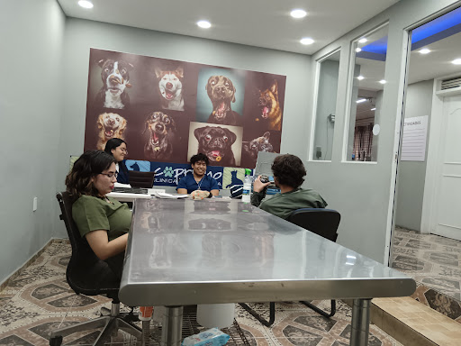 Hospital de Especialidades Veterinarias El Capricho