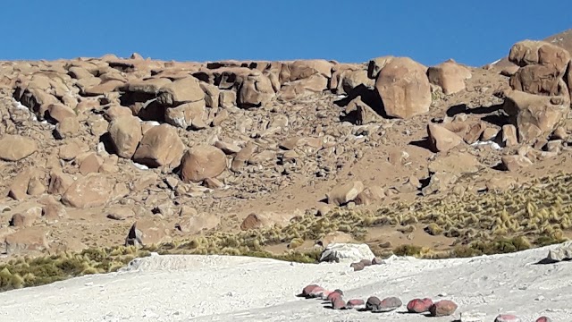 Geisers del tatio