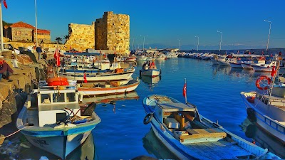 Photos of Aytac Auto