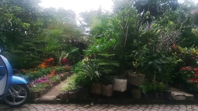 Photos of Lapangan Tega Lega