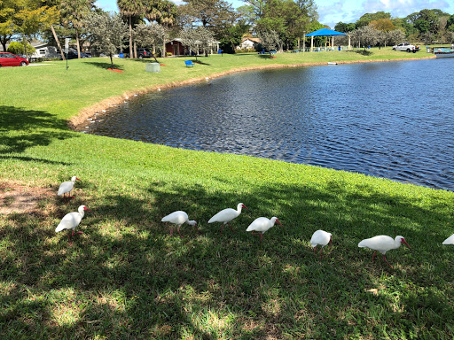 Caporella Park - Visual