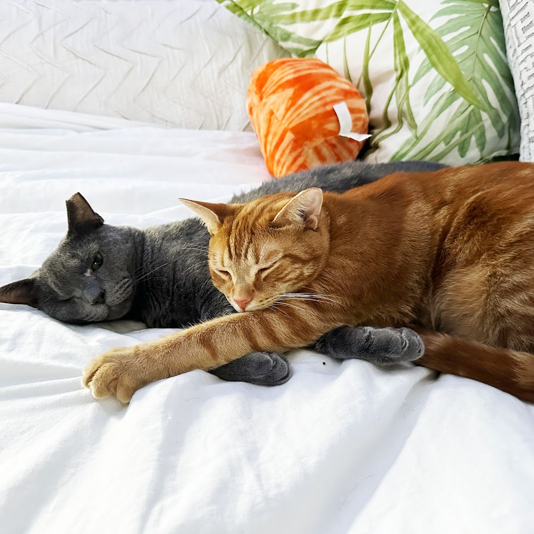 For the Love of Cats, Inc.