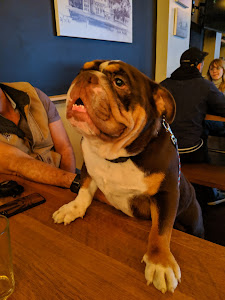 Ballard Beer Company photo