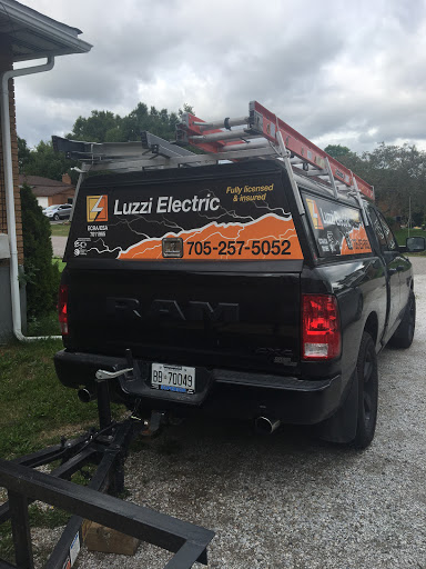 Luzzi Electric - Visual