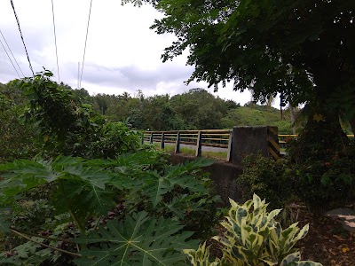 Photos of JEMBATAN ASANAE