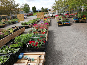 Photo n°1 de Jardinerie des Erlen à Wettolsheim (Jardinerie)