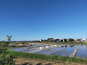Photo n°10 de Saline de Sibean - Paichoux Fabien à Batz-sur-Mer (Épicerie)