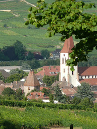 Photo n°21 de Sick Dreyer Vins à Ammerschwihr (Établissement vinicole)